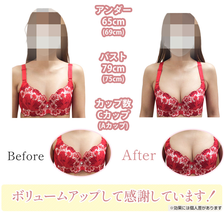 バストアップビフォーアフター