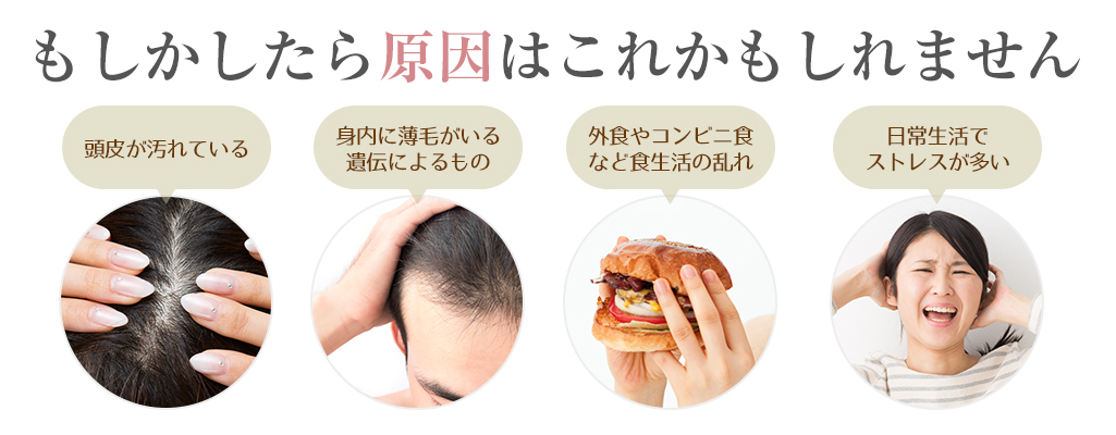 薄毛の原因